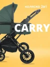 Коляска 2 в 1 Indigo Carry зеленый