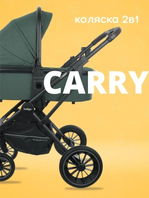 Коляска 2 в 1 Indigo Carry зеленый