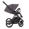 Коляска 2 в 1 Moon Style Anthrazit RU544