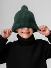 Шапка (Цвет изумрудный, Размер 50-54), 10-348U