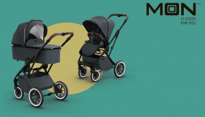 Коляска 2 в 1 Moon Rocca Style anthrazit/black chrome (544)