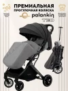 Коляска прогулочная Palankin Teo серый