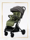 Коляска прогулочная Palankin Teo зеленый