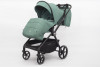 Коляска 2 в 1 Ining Baby Z1-X PRO green