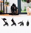 Коляска прогулочная Ining Baby Fold K353 black