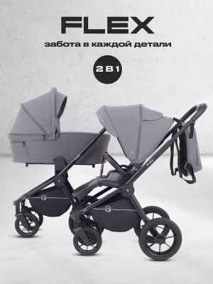 Коляска 2 в 1 Rant Flex RA076 Graphite 2025 - фото 1