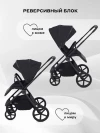 Коляска 2 в 1 Rant Teo RA120 Black