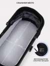 Коляска 2 в 1 Rant Moss RA321 Black
