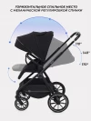 Коляска 2 в 1 Rant Moss RA321 Black