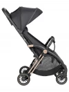 Коляска прогулочная Costa Rio Black gold