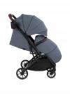 Коляска прогулочная Pituso Ice PU Graphite