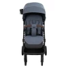 Коляска прогулочная Pituso Ice PU Graphite