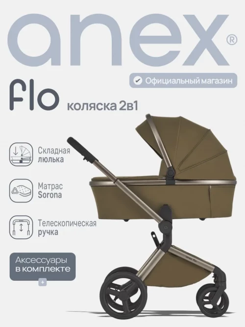 Коляска 2 в 1 Anex Flo (fl-04) Astra - фото 1