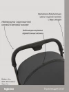 Коляска прогулочная Inglesina Maior 2025 Magnet grey