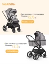 Коляска 2 в 1 Farfello Belleza grey