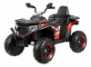 Электроквадроцикл Farfello TR124 красный