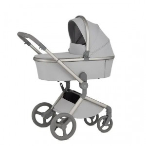 Коляска 2 в 1 Anex Flo (fl-06F) Frossy